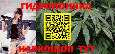 крисы Донецк
