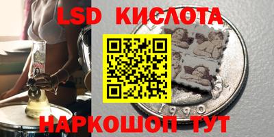 СК Дубна