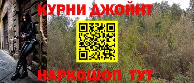СК Дубна