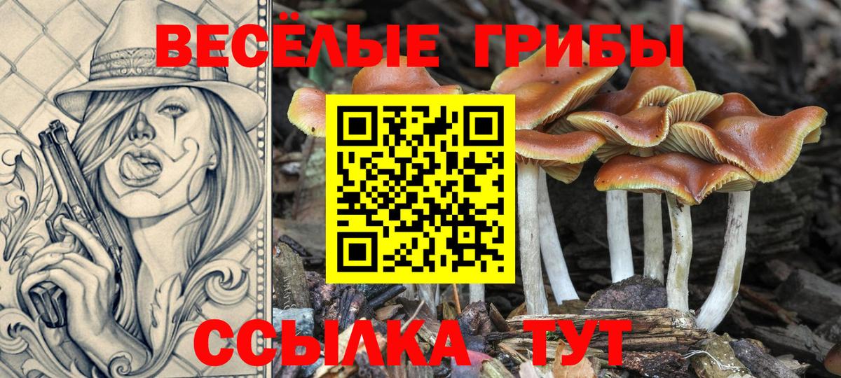 Галлюциногенные грибы GOLDEN TEACHER Луховицы