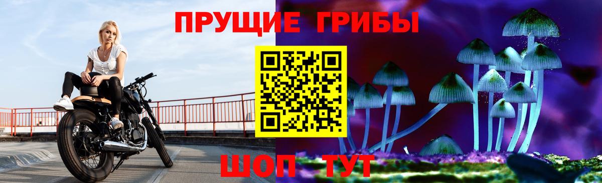 наркошоп  Псилоцибиновые грибы мицелий  Луховицы  Вход с VPN  Псилоцибиновые грибы прущие грибы 